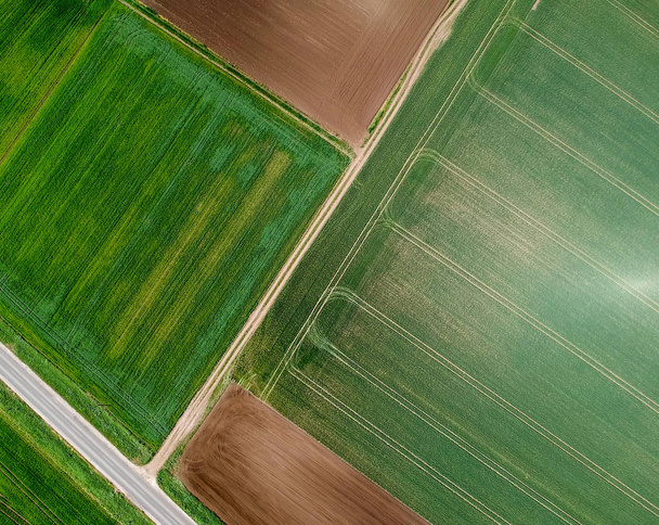 Aerial view of agricultural fields - Fotó, kép