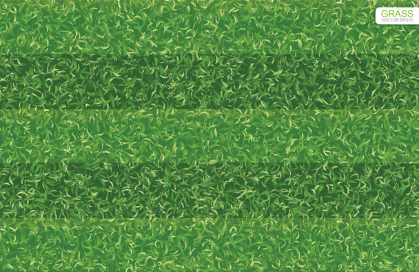 Πράσινο γρασίδι μοτίβο και υφή για γήπεδο ποδοσφαίρου, γήπεδο ποδοσφαίρου, ράγκμπι ποδόσφαιρο πεδίο φόντο. Εικονογράφηση διάνυσμα. - Διάνυσμα, εικόνα