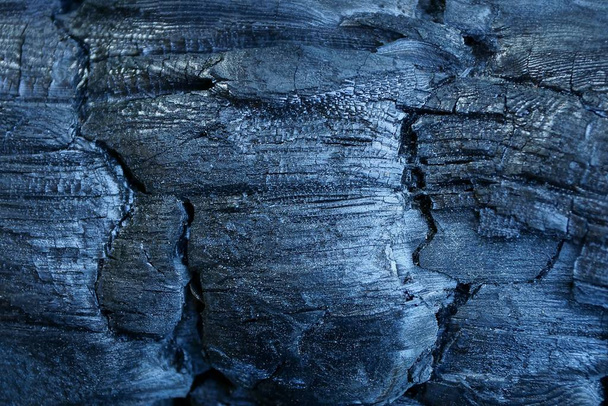 black charcoal texture on a charred tree - Photo, Image