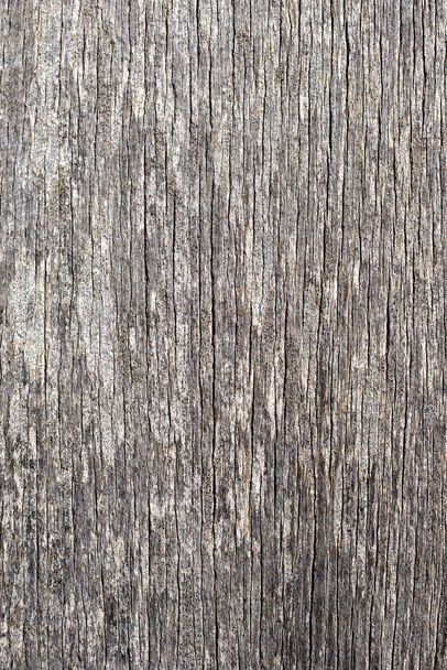 Szürke fa textúra - Fotó, kép