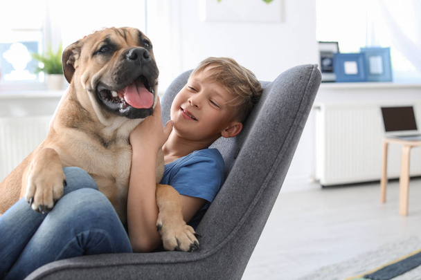 Cute little child with dog sitting in armchair at home - Фото, изображение