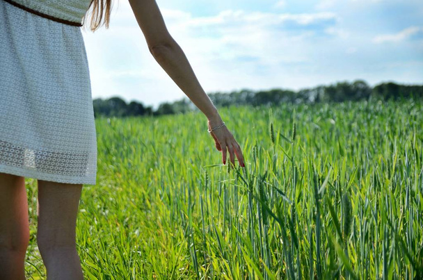 Mujer joven en vestido blanco rodeada de campo de grano verde. Mujer en paisajes naturales, campos verdes y cielo azul. Foto de primer plano que muestra la mano y los granos
. - Foto, Imagen