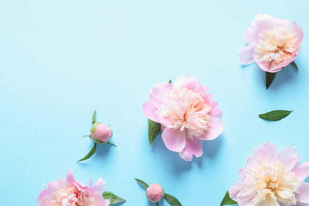 Beautiful fragrant peony flowers on color background - Foto, afbeelding