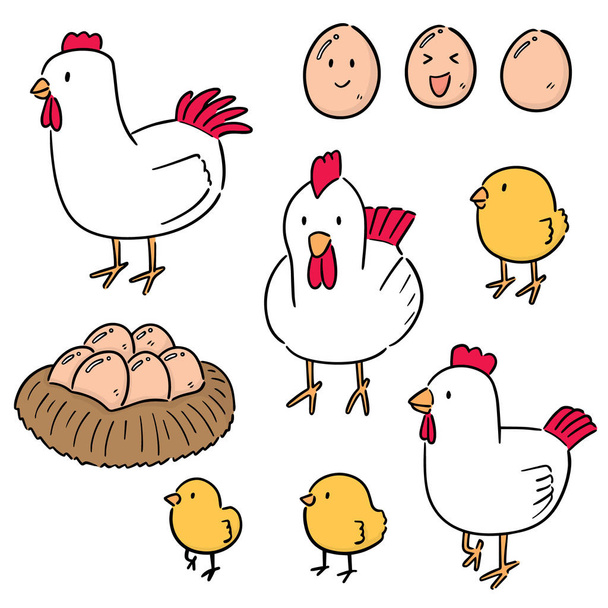 vektorová sada kuřat a vajec - Vektor, obrázek