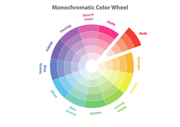 монохроматичне колесо кольору, теорія кольорової схеми, червоний колір у доказах, вектор ізольований або білий фон
 - Вектор, зображення