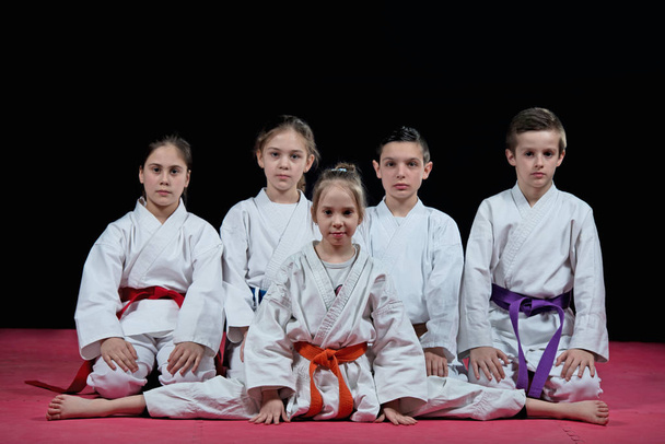 Grupa dzieci sztuk walki Karate - Zdjęcie, obraz