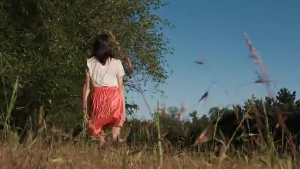 Güzel bir genç kadın yürüyor ve ormanda, ellerini yükselterek ve ağaçların dalları dokunmadan hops - Video, Çekim