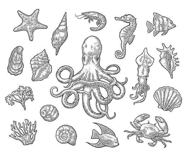 Set sea animals. Shell, cuttlefish, coral, oyster, crab, shrimp, seaweed, star, fish and octopus. Vector black engraving vintage illustrations. Isolated on white background. - Vektör, Görsel