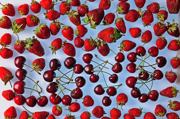 strawberries and cherries on a white-blue background. - Zdjęcie, obraz