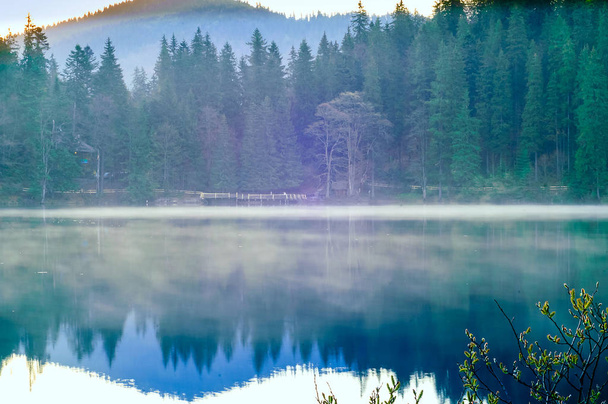 Seepanorama an einem nebligen Morgen mit Bergen vor dem Hintergrund wilder Natur, Spiegelung im Karpaten-Nationalpark, - Foto, Bild