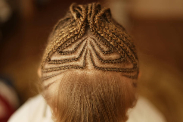 textura de tranças de cabelo, cachos. penteado, o resultado do trabalho de um cabeleireiro, close-up de uma textura, em um fundo branco
 - Foto, Imagem