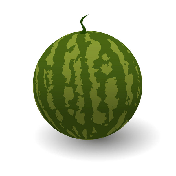 Vector illustration of  Three slices of red ripe watermelon - Vector, Image