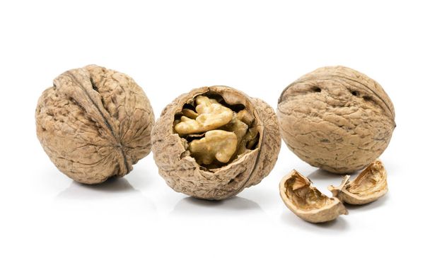 walnut on white background - Photo, Image