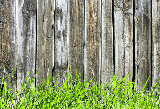 starý černý plot a zelená tráva - Fotografie, Obrázek