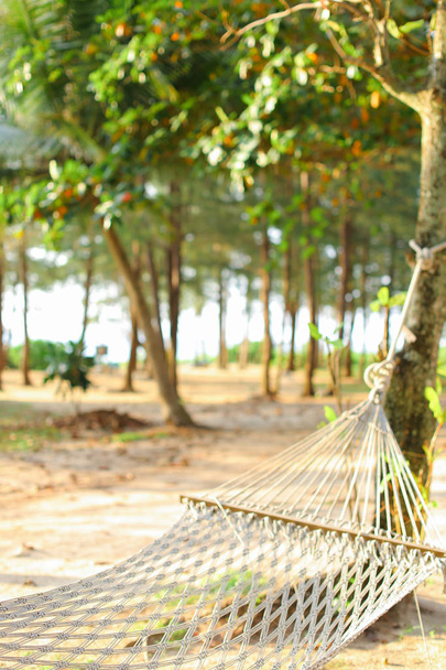 Epty witte hommock met zand en bomen in de achtergrond. - Foto, afbeelding