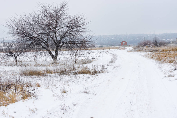 Сельский пейзаж с грунтовой дорогой, ведущей к одинокому дому в центральной Украине
 - Фото, изображение
