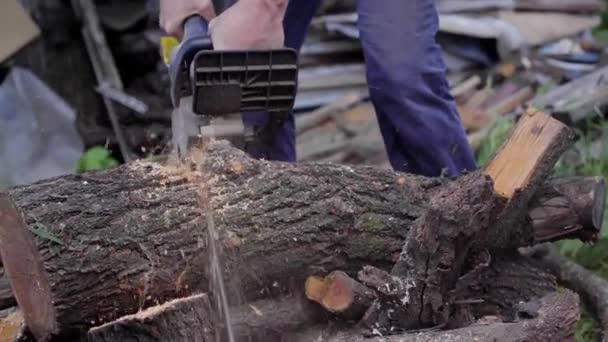 man sawing wood with chainsaw, chips, saw dust falling beautiful - Footage, Video