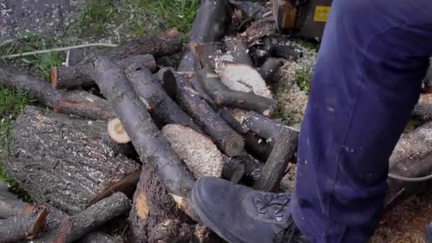 man sawing wood with chainsaw, chips, saw dust falling - Footage, Video