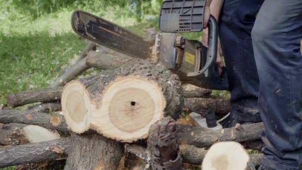 man sawing wood with chainsaw, chips, saw dust falling in slow motion - Footage, Video