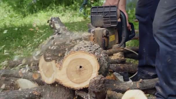 muž řezání dřeva s pilou, třísky, piliny v pomalém pohybu - Záběry, video