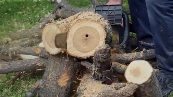 man sawing wood with chainsaw, chips, saw dust falling in slow motion - Footage, Video