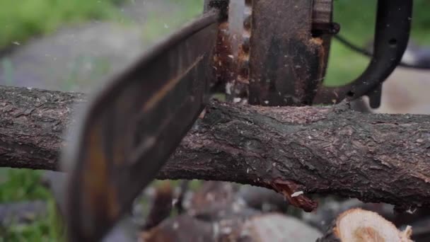 slow motion, a man sawing wood with chainsaw, chips, saw dust falling - Footage, Video