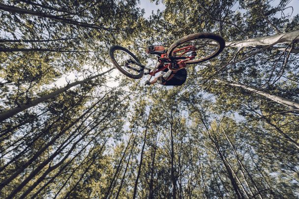 κάτω όψη του ακραία αθλητής άλματος με ποδήλατο στο δάσος - Φωτογραφία, εικόνα