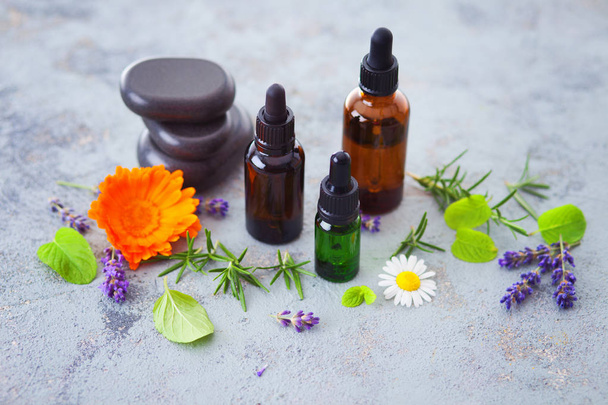 óleo de aromaterapia com ervas e flores frescas - medicina alternativa
 - Foto, Imagem