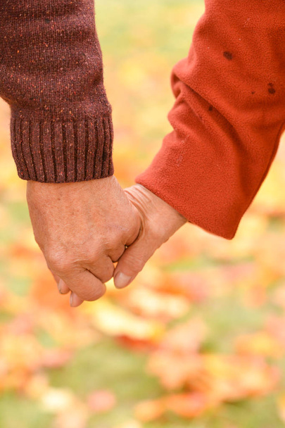 two people  holding hands  at the nature - Foto, imagen