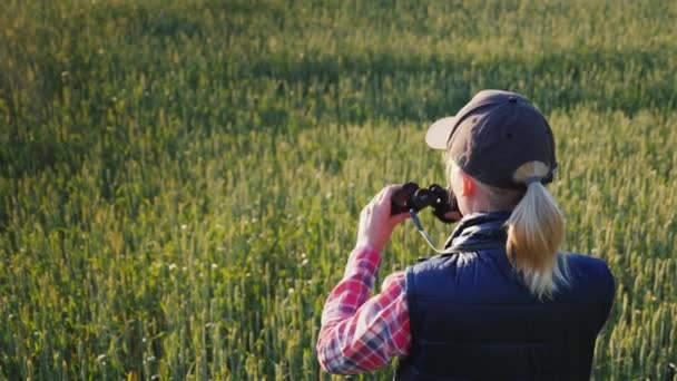 A woman looks through binoculars. Standing in the endless green field. Rear view - Кадри, відео