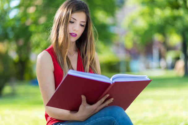 Beautiful female college student reading a book on a bench in a park - Foto, Imagem