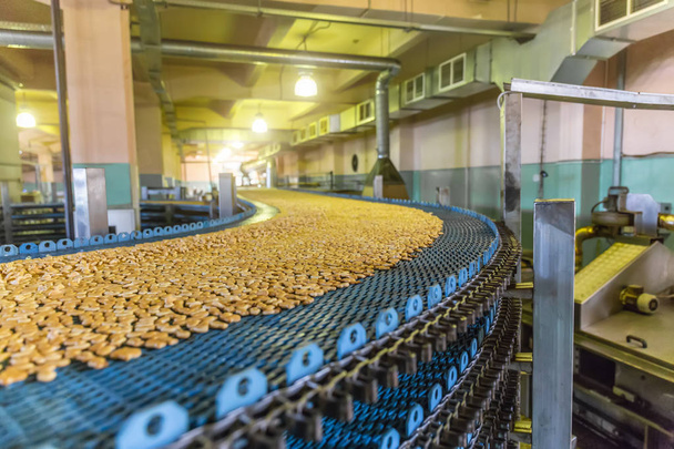 Производственная линия выпечки печенья. Печенье на конвейерной ленте в кондитерской фабрике, пищевой промышленности
 - Фото, изображение