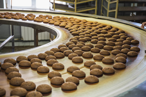 Production line of baking cookies. Biscuits on conveyor belt in confectionery factory, food industry - Photo, Image