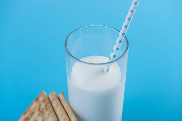 Szklankę świeżego mleka ze słomy i ciasteczka na niebieskim tle. Kolorowe minimalizm. Pojęcie zdrowe produkty mleczne z wapniem - Zdjęcie, obraz