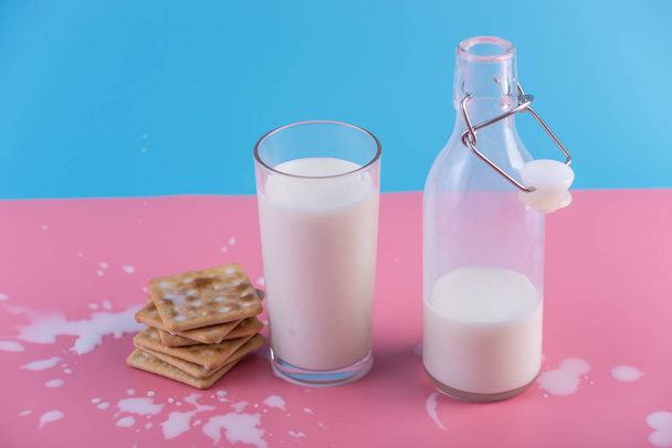 Glass bottle of fresh milk and cookies on pastel background. Colorful minimalism. The concept of healthy dairy products with calcium - Fotoğraf, Görsel