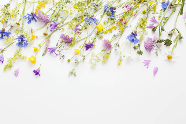 summer flowers on white paper background - 写真・画像