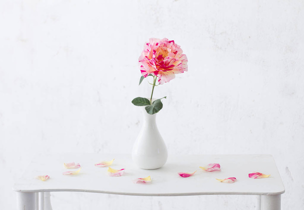roses oin vase on white background - Фото, зображення