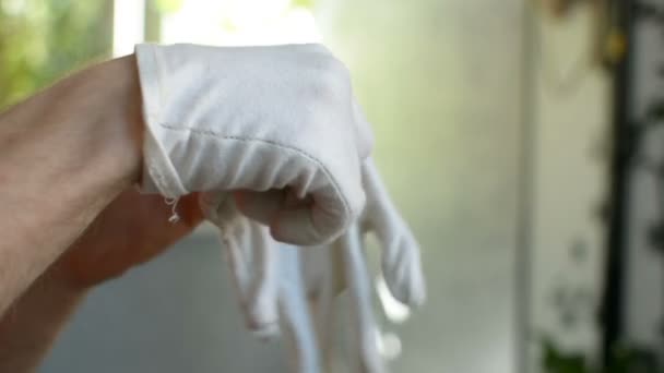 Putting on second left white cloth glove before working with plants and dirt - Filmati, video