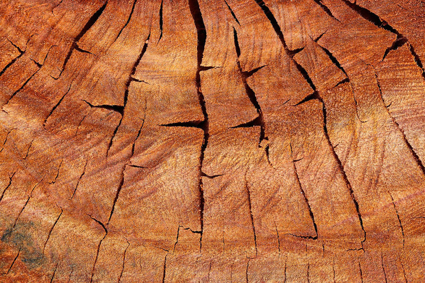 drewna streszczenie tekstura tło. - Zdjęcie, obraz