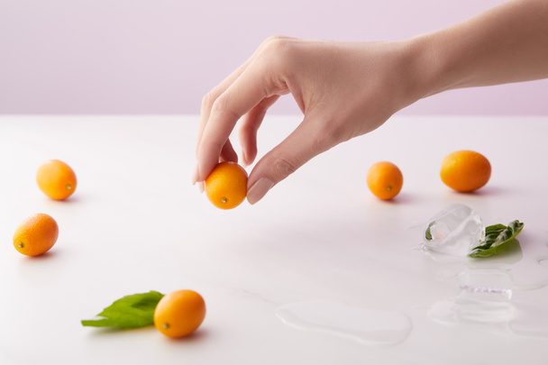 cropped image of woman holding kumquat over table with mint leaves, ice cubes and kumquats on purple background  - Photo, Image