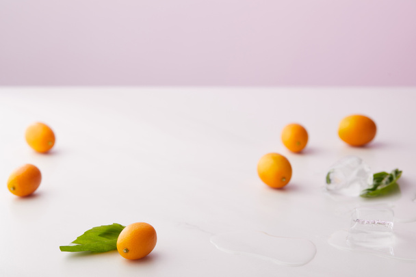 kumquats, mint leaves, ice cubes on tabletop on purple background  - Zdjęcie, obraz