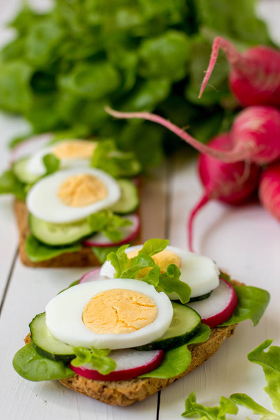 Sandwichs aux œufs, radis et laitue verte
. - Photo, image