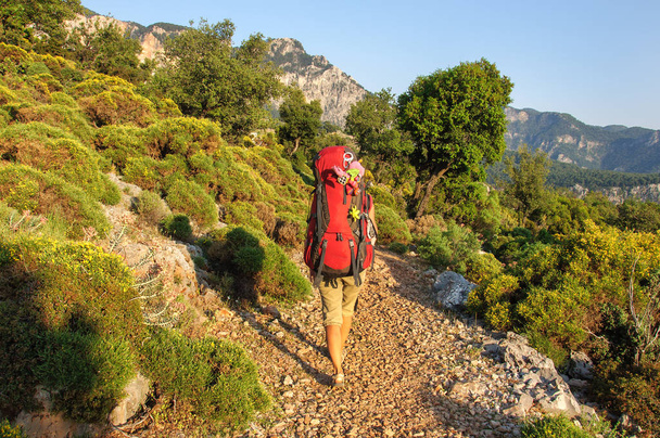 meisje met een grote rugzak wandelingen langs de Lycische trail tegen de achtergrond van de zee en dennen. Turkije - Foto, afbeelding