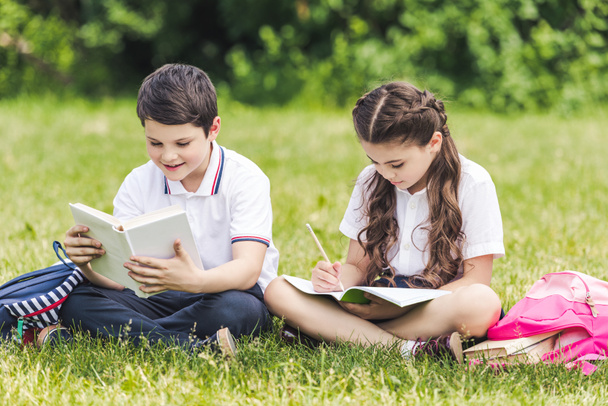 schoolchildren doing homework together while sitting on grass in park - Photo, Image