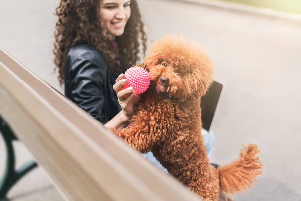 幸せな若い女と野外で遊ぶ小さな犬 - 写真・画像