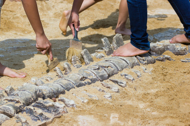 Los niños están aprendiendo historia de dinosaurios, excavando fósiles de dinosaurios simulación en el parque
. - Foto, Imagen