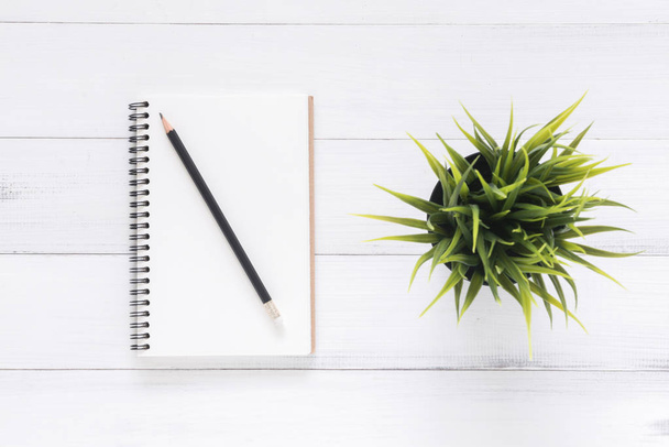 Minimal work space - Creative flat lay photo of workspace desk. White office desk wooden table background with mock up notebooks and pencil and plant. Top view with copy space, flat lay photography - Foto, immagini