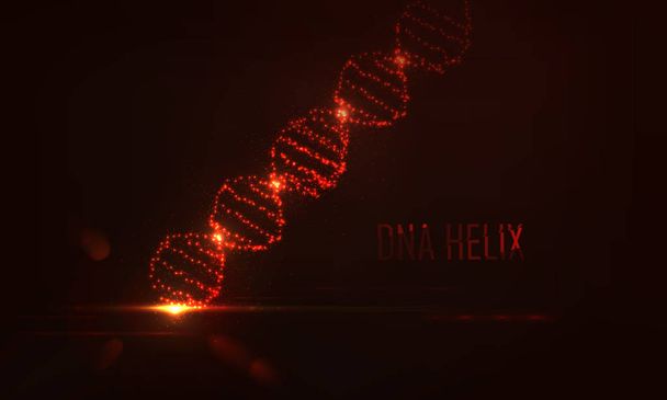 dna shape of  glowing circles and particles  . - Vector, Image