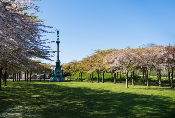 monumento tra bellissimi alberi in fiore nel parco, copenhagen, denmark
 - Foto, immagini