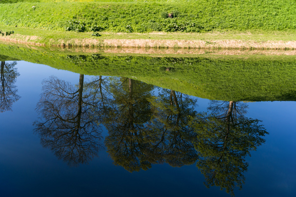 reflected - Foto, afbeelding